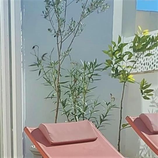 Entre Catedrales Terrace Apartman Sevilla Kültér fotó